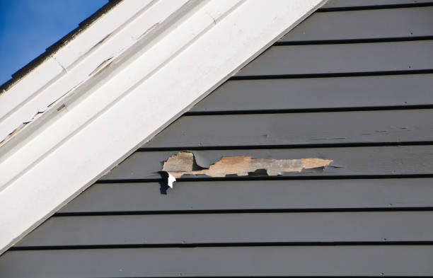 Siding Installation & Repair