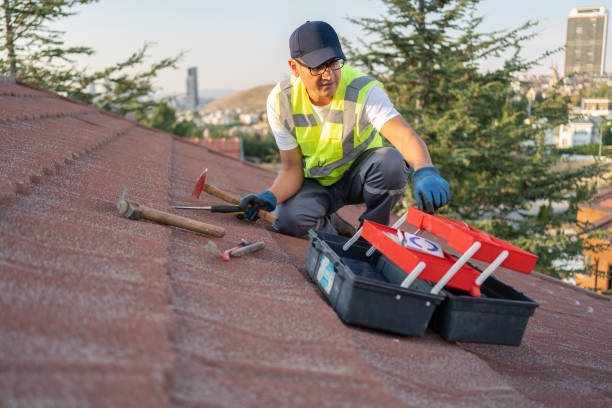 Best Steel Siding Installation  in Tremont, PA